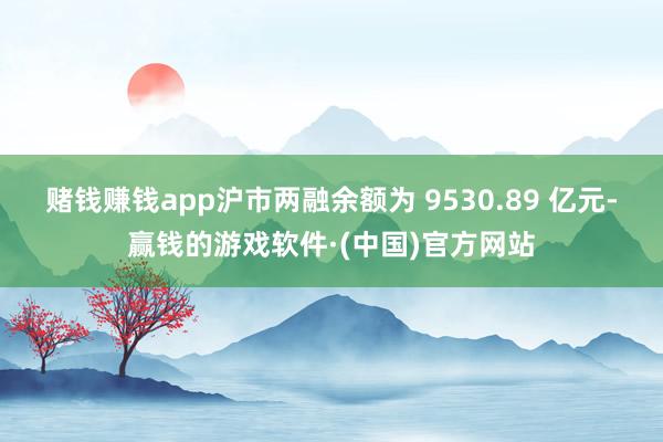 赌钱赚钱app沪市两融余额为 9530.89 亿元-赢钱的游戏软件·(中国)官方网站